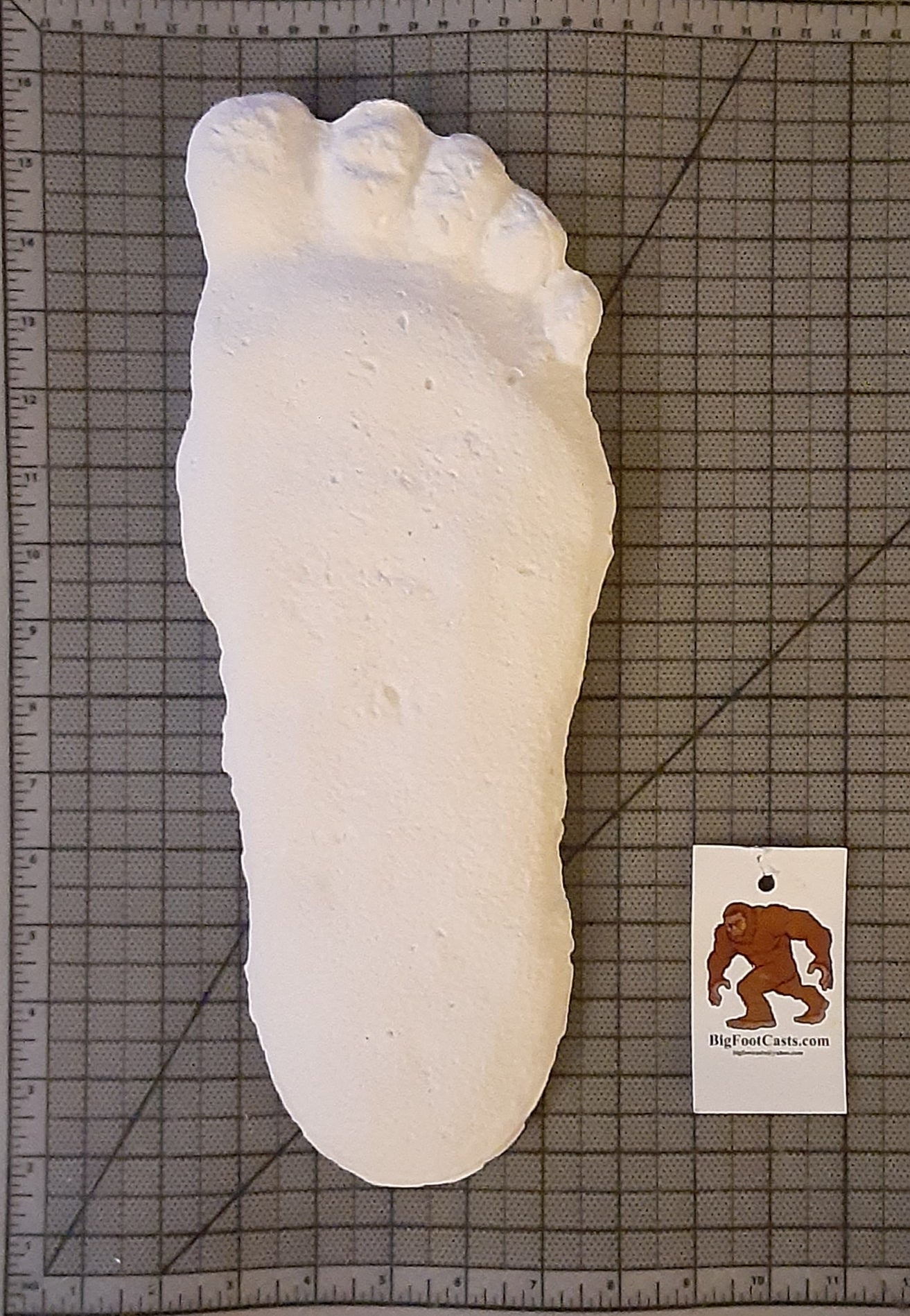 Clearance Bigfoot Gimlin / Titmus cast 10/29/1967