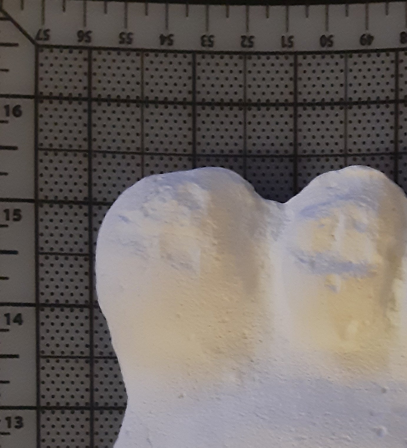 Clearance Bigfoot Gimlin / Titmus cast 10/29/1967