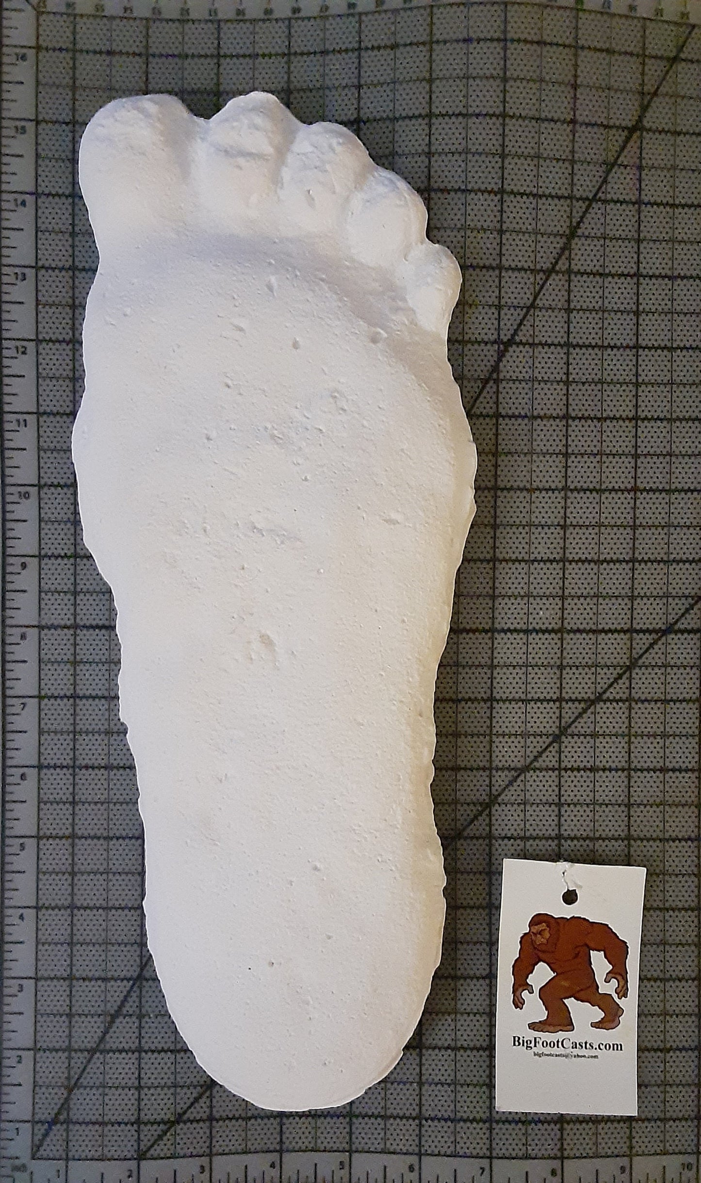 Clearance Bigfoot Gimlin / Titmus cast 10/29/1967