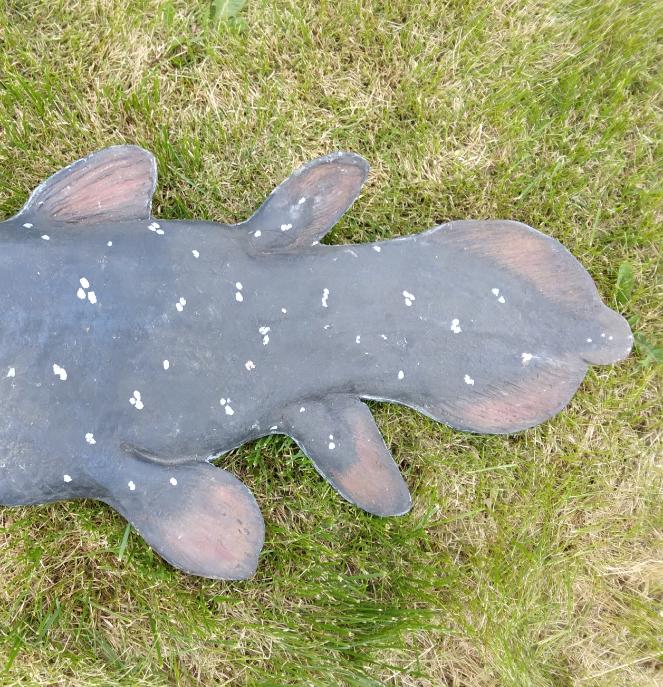 Coelacanth UNFINISHED cast life cast replica Latimeria