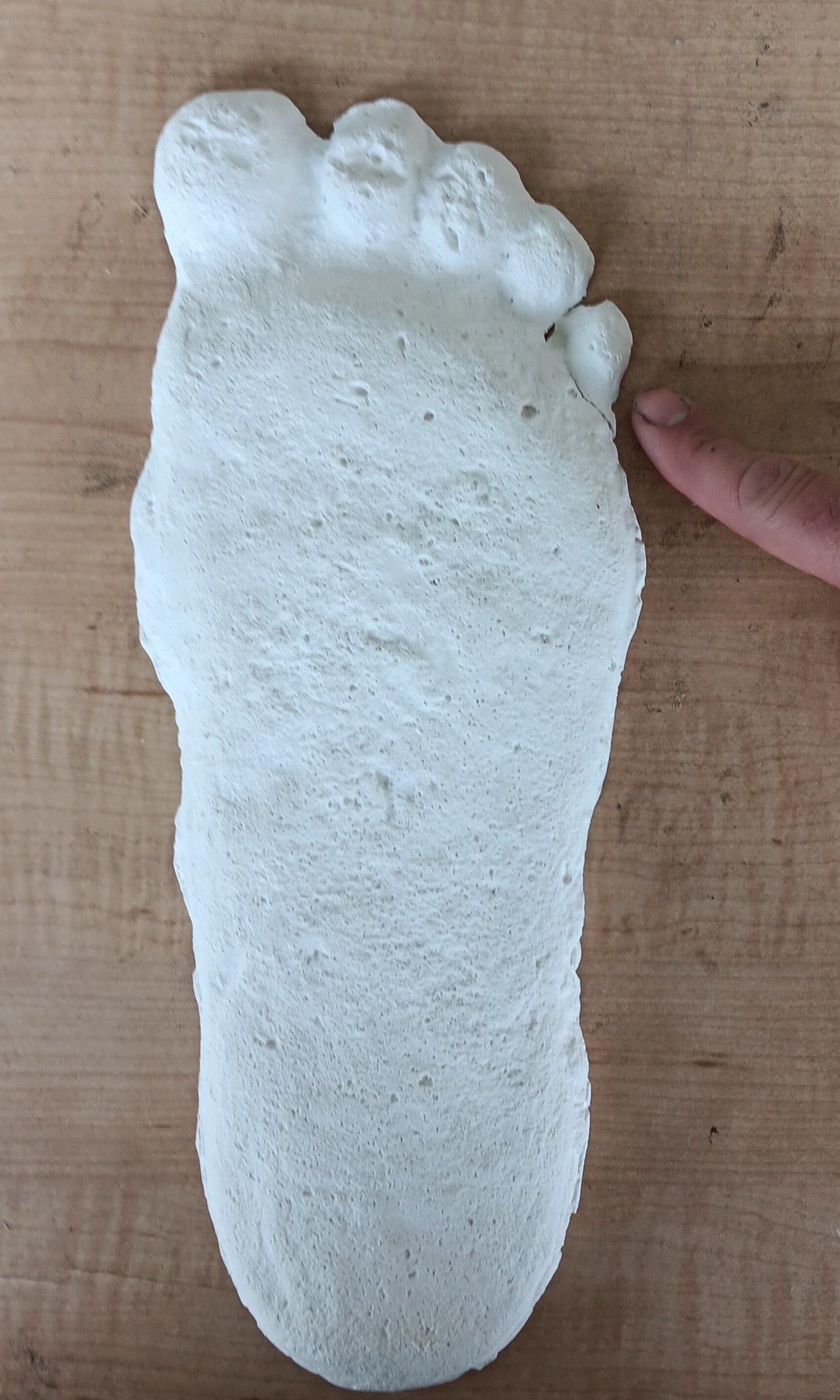 Clearance Bigfoot Gimlin / Titmus cast 10/29/1967