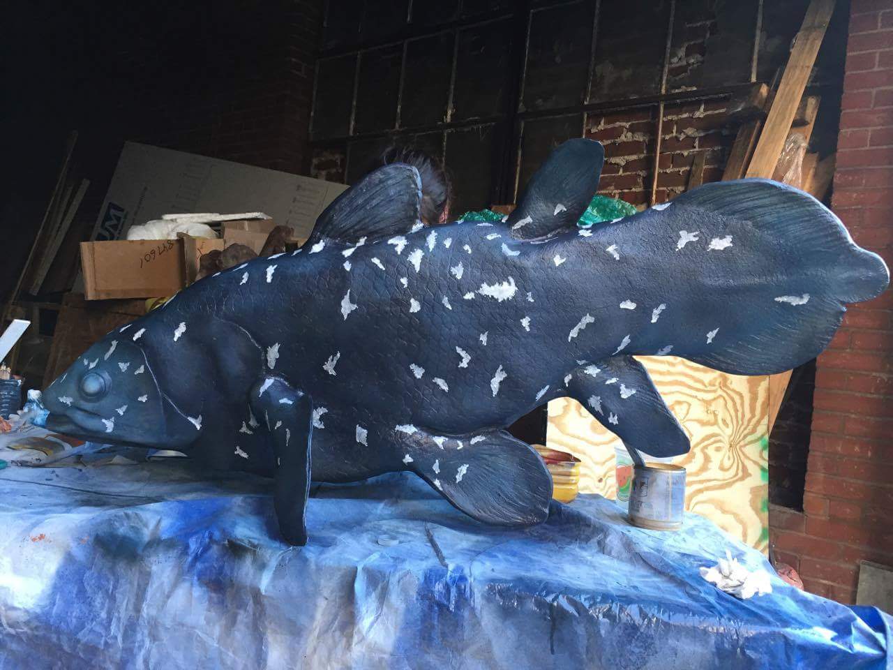Coelacanth UNFINISHED cast life cast replica Latimeria