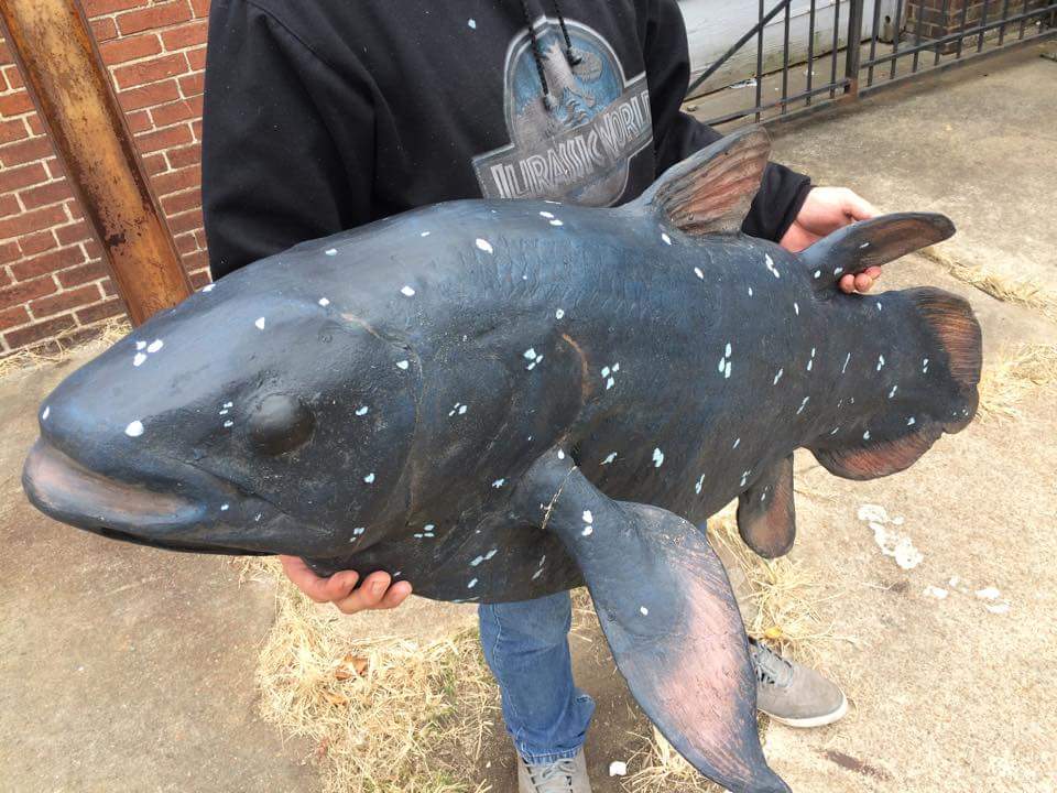 Coelacanth UNFINISHED cast life cast replica Latimeria