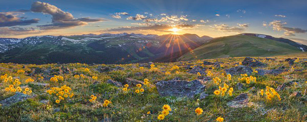 Colorado Sunflower Sunset Panorama 1 by Rob Greebon