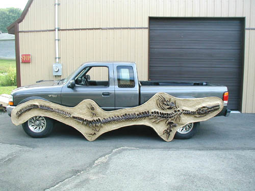 Clidastes Mosasaur skull cast replica marine reptile