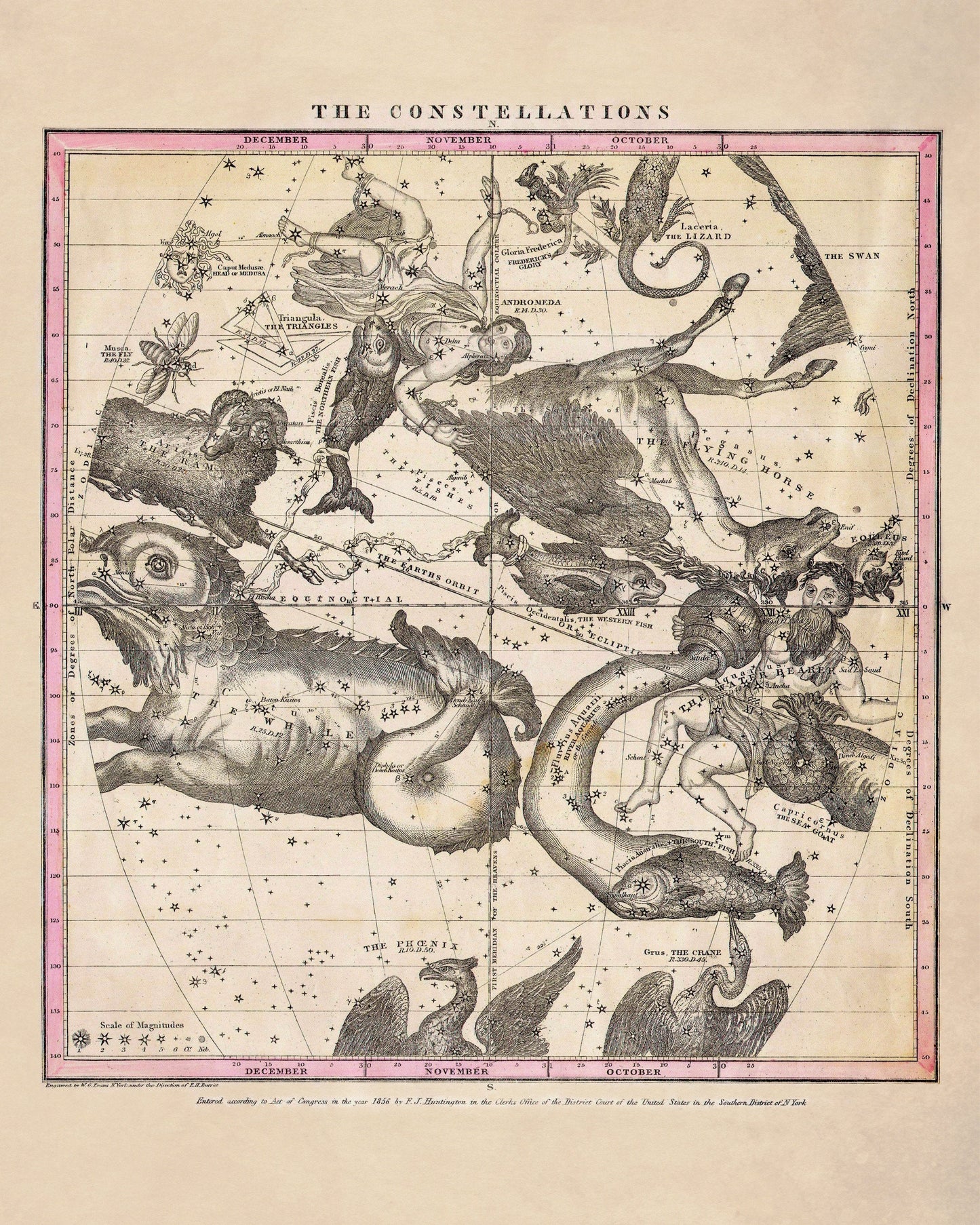 Constellations 1856