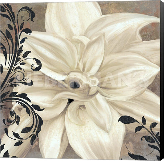 Color Bakery Winter White II Museum Wrapped Canvas Art Print