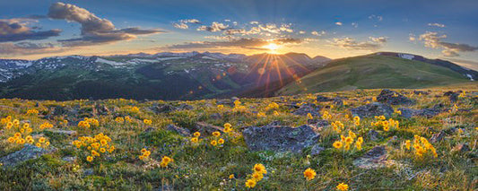 Colorado Sunflower Sunset Panorama 1 by Rob Greebon