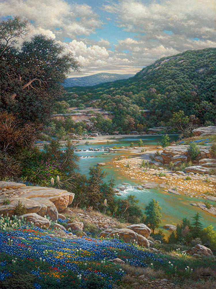 Cliffs of the Nueces Art Prints by Larry Dyke Artist