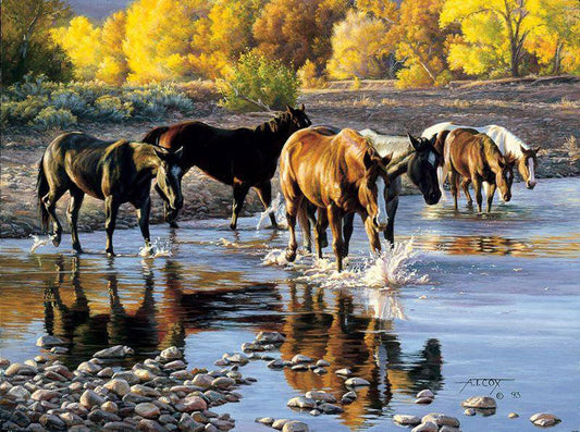 Coming in at Sundown Horse Artwork by Tim Cox