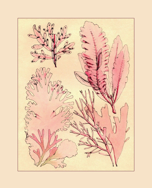 1857