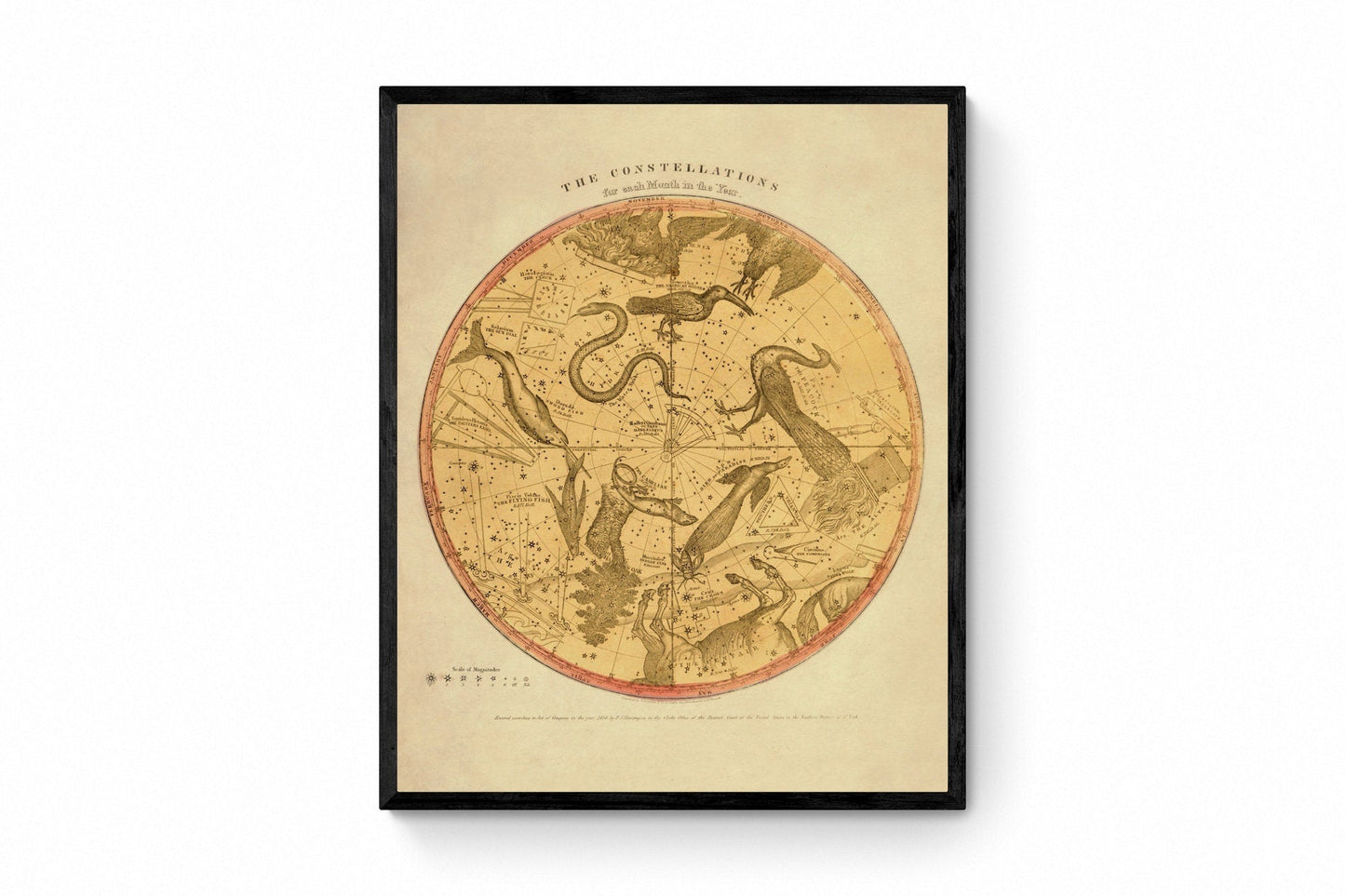 Constellations 1856