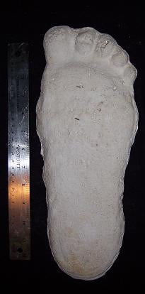 Clearance Bigfoot Gimlin / Titmus cast 10/29/1967